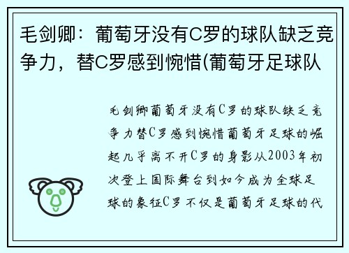 毛剑卿：葡萄牙没有C罗的球队缺乏竞争力，替C罗感到惋惜(葡萄牙足球队队长c罗)