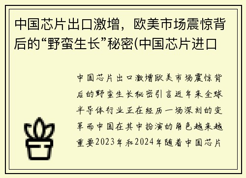 中国芯片出口激增，欧美市场震惊背后的“野蛮生长”秘密(中国芯片进口额)